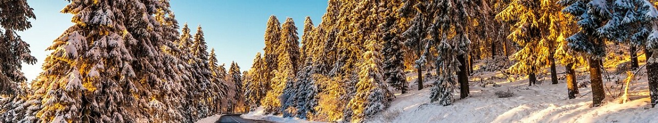 Опережая снег: как Пермь помогает всей России готовиться ко «дню жестянщика»
